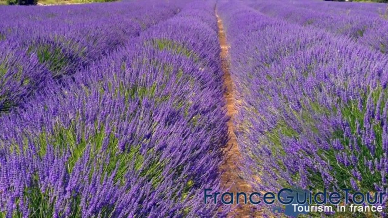 Le Poët Laval, l'un des plus beaux villages de France