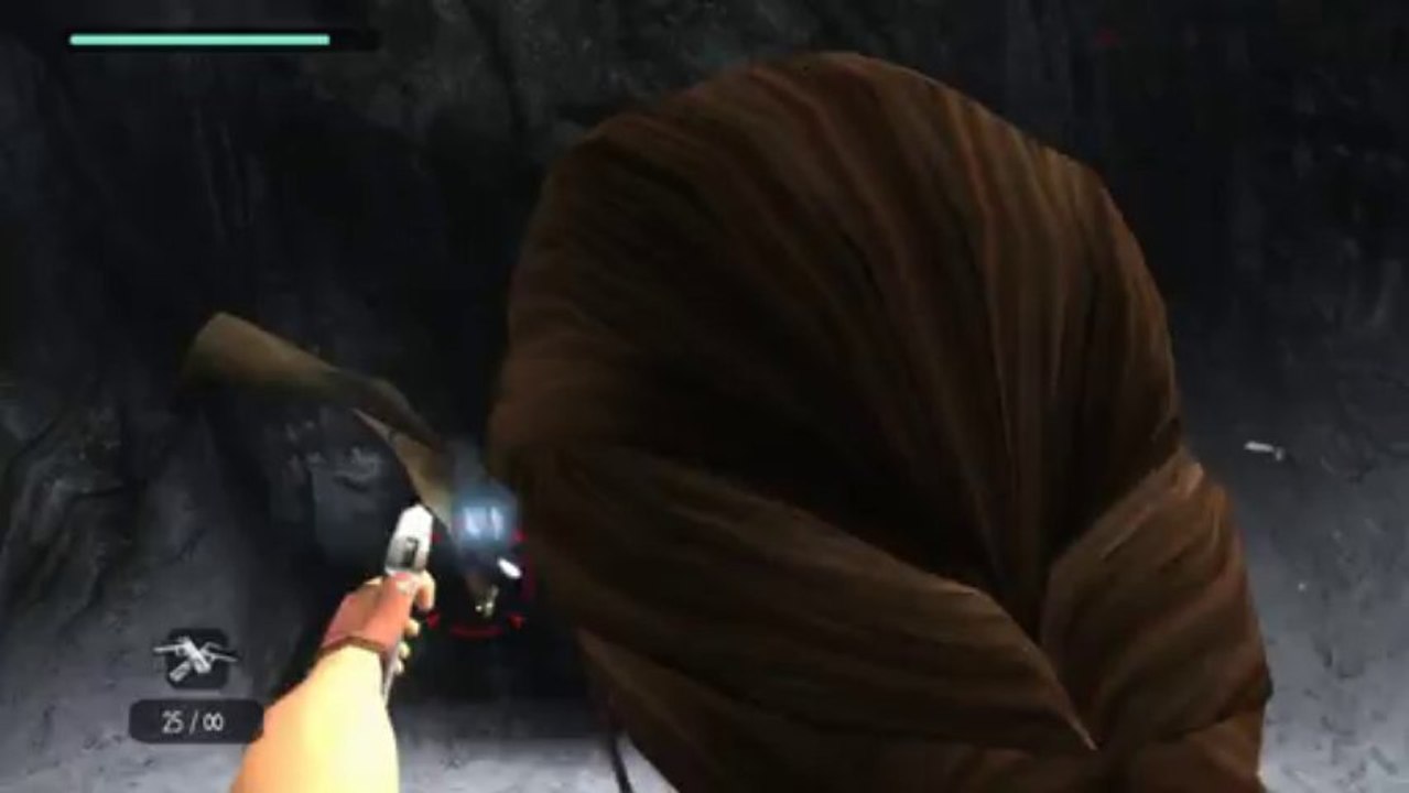 Tomb Raider Anniversary - 2