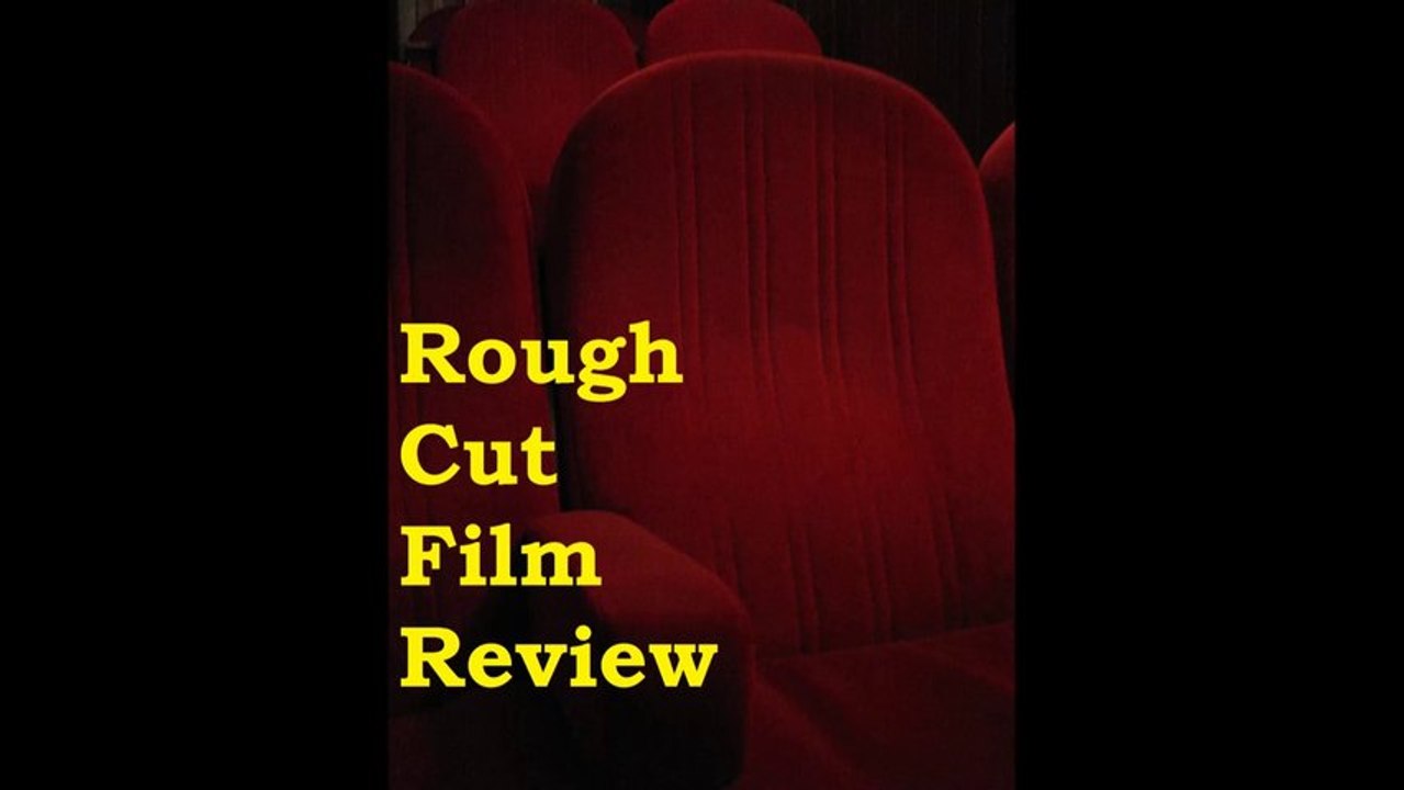 Rough Cut Film Review The Wolf of Wall Street