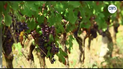 Et pour quelques degrés de plus