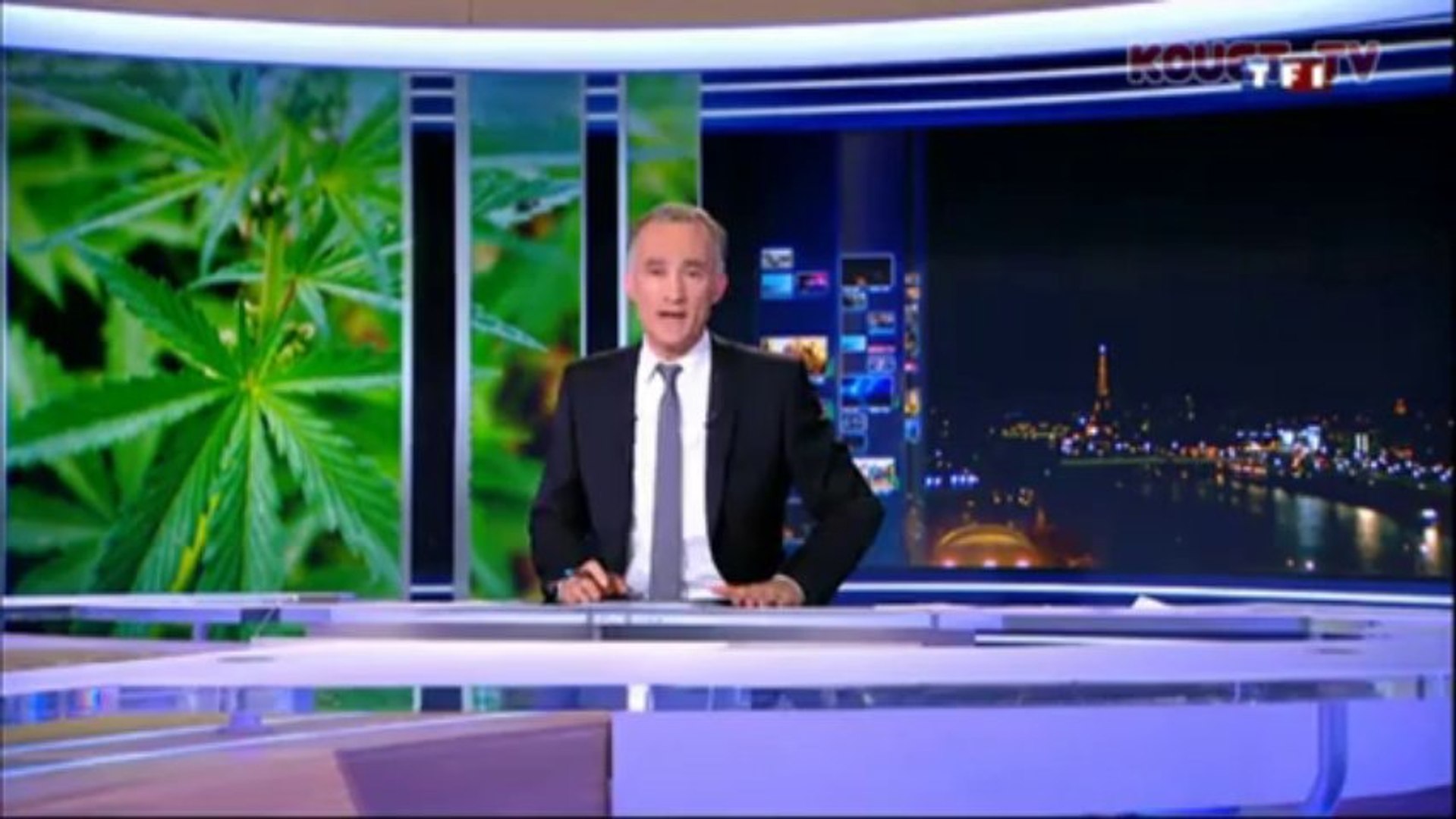 cannabis 2014 le debat ???