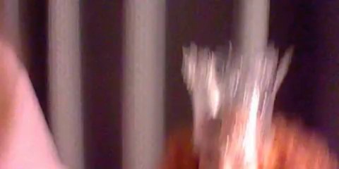 CORE; JANUARY 20, 2014 part 09