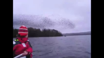 What These Women See On Their Canoe Trip Will Blow Your Mind