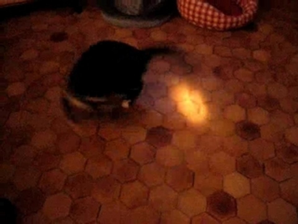 Vick, une lumière..