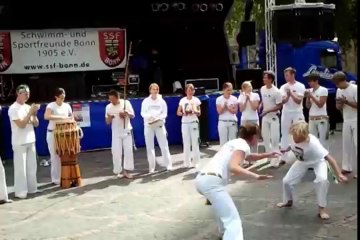 Brazilian Martial Arts