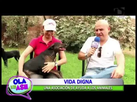 ¿Piensa adoptar una mascota? conozca el albergue de animales 'Vida Digna'