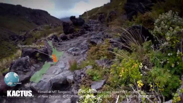 NEW ZEALAND NATIONAL PARKS MT TONGARIRO CROSSING. BUSH WALKS.