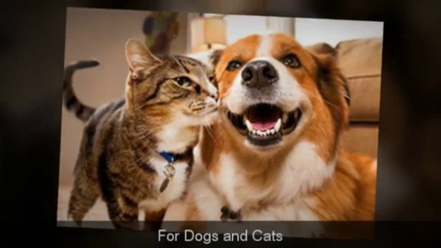 Dog & Cat Brush Top Quality Pet Grooming Comb