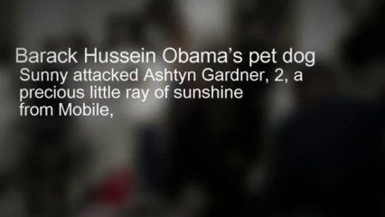 Liberal Bias Blog
