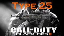 Type 25 Best Class Setup, Call of Duty Black Ops 2 Weapon Guide (Best Game Strategy)