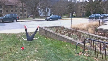 Angry Bird vs. Bullies