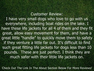 XXS Paws Aboard Doggy Life Jacket Pink Polka Dot Review