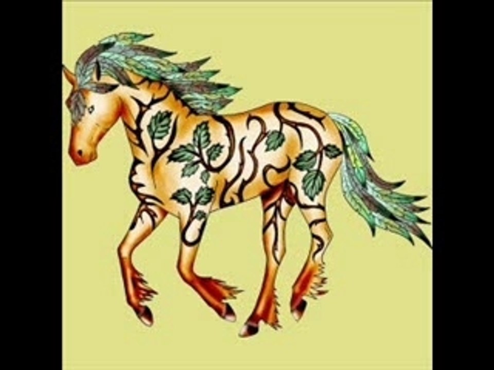 Equideo