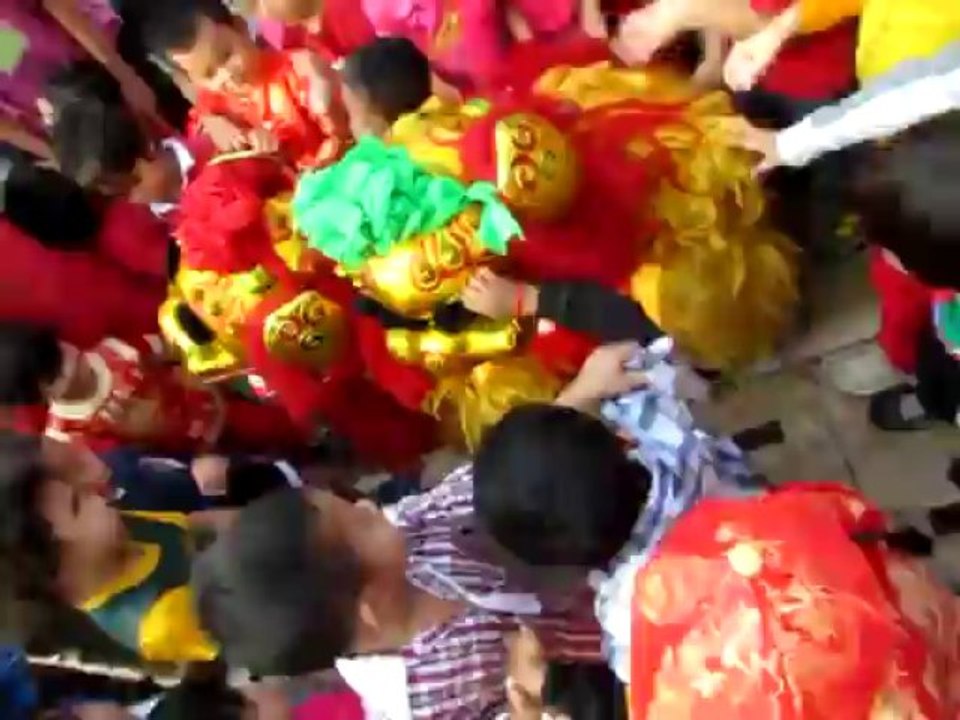 Nouvel An chinois LFRD6