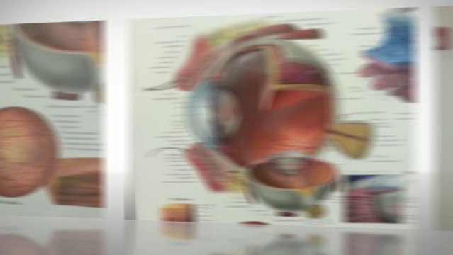 Get eye exam coupons& eye doctor Hiighlands Ranch CO