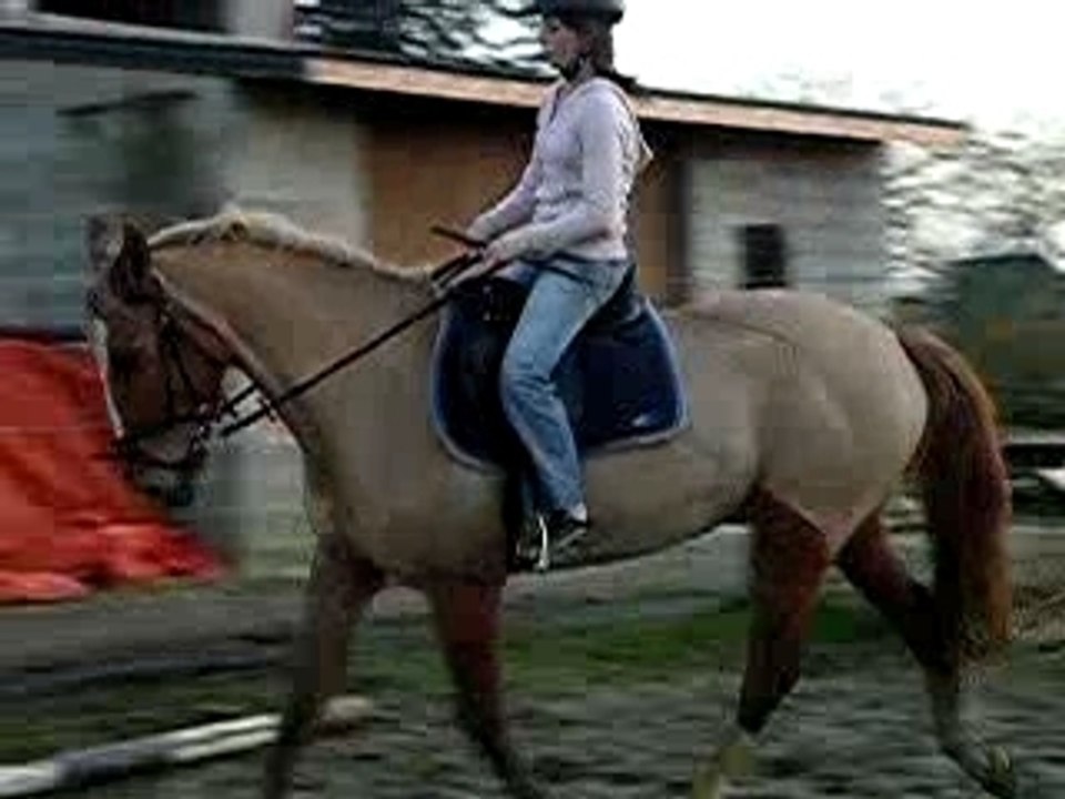 marie trot1
