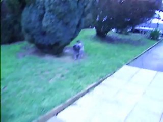 pouah,quel temps!!!!!!!