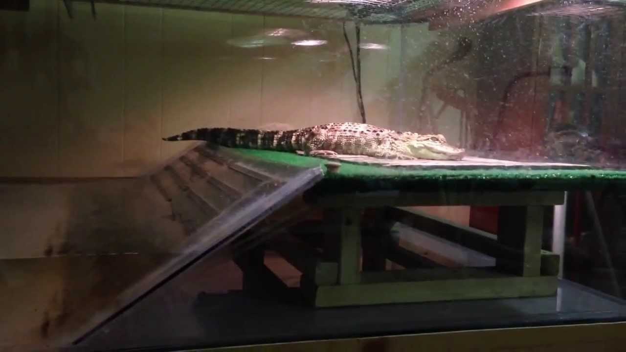 Q&A #2 | Frequently Asked Questions