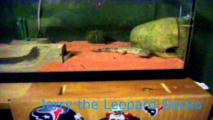 500 Subscribers! + Possible Partnership