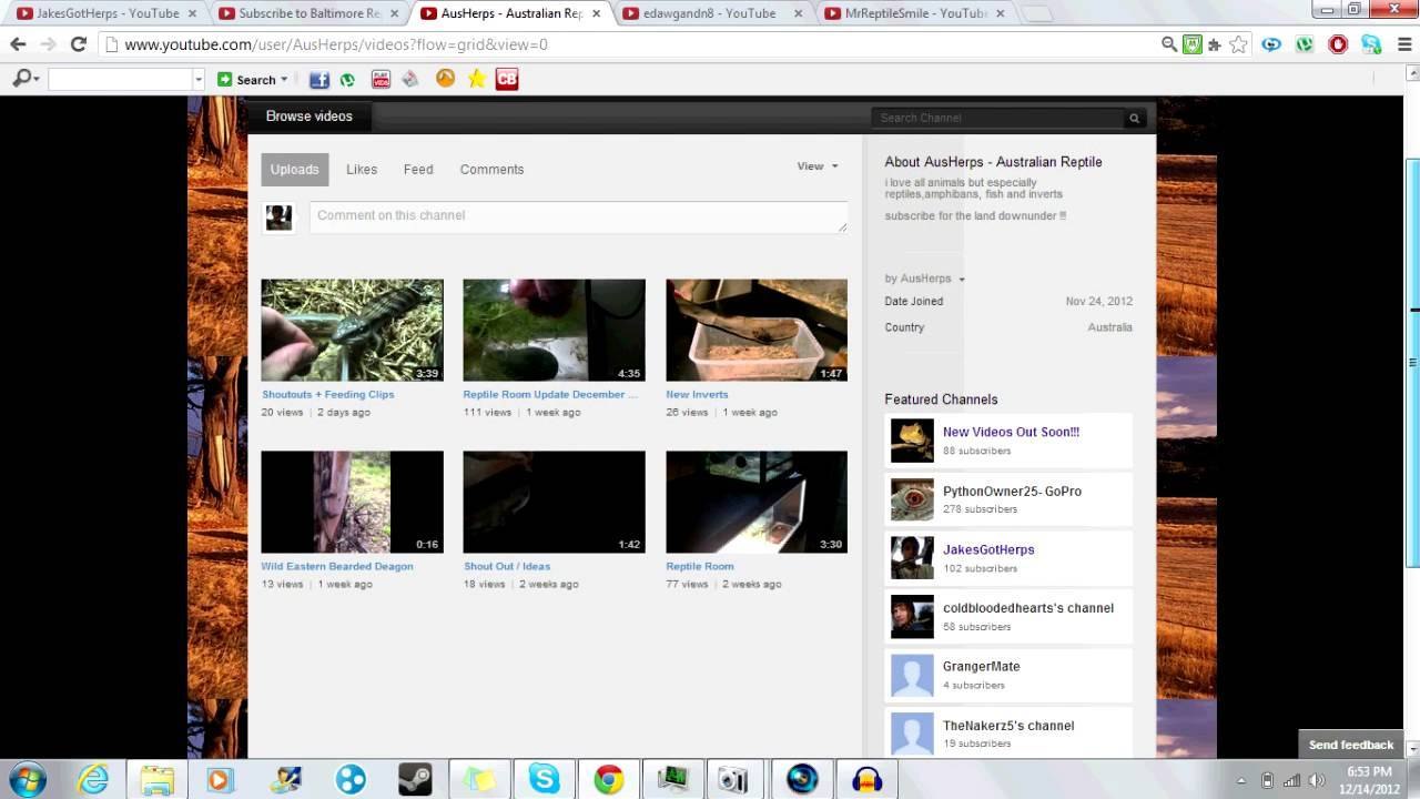 100 Subscribers! + Shoutouts