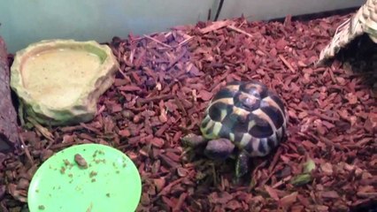 5,000 Subscribers!!!!