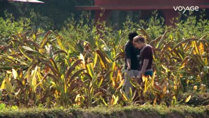 Retrouvez la nature avec Mannaig : Inde, Une agriculture traditionnelle.