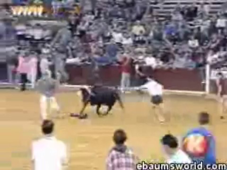 bullstrip