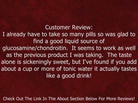 Wellesse Joint Movement Glucosamine With Chondroitin & Msm 33.8 fl oz (1000 ml) Review