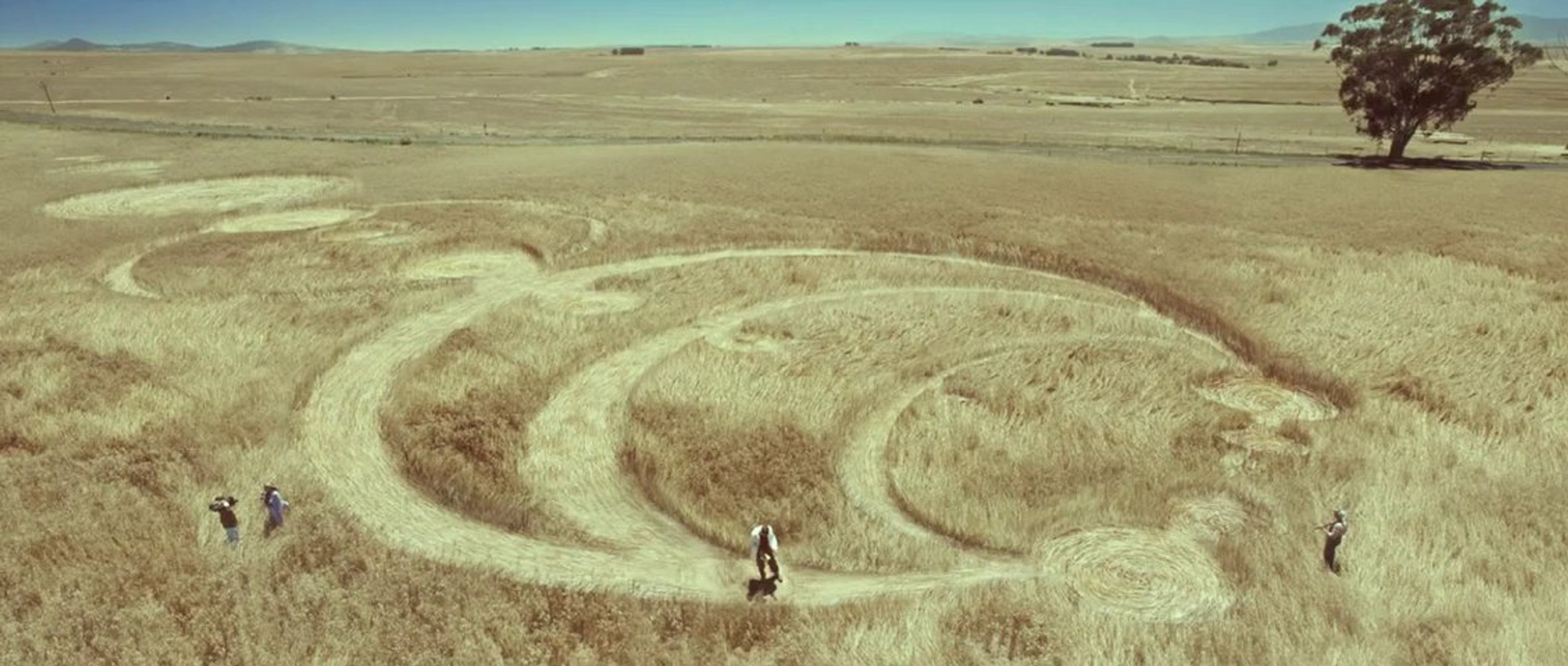 Funny  Crop Circle First Date - Vidéo Dailymotion