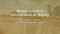 Bourse céréalière internationale de Niamey (Niger - décembre 2013)