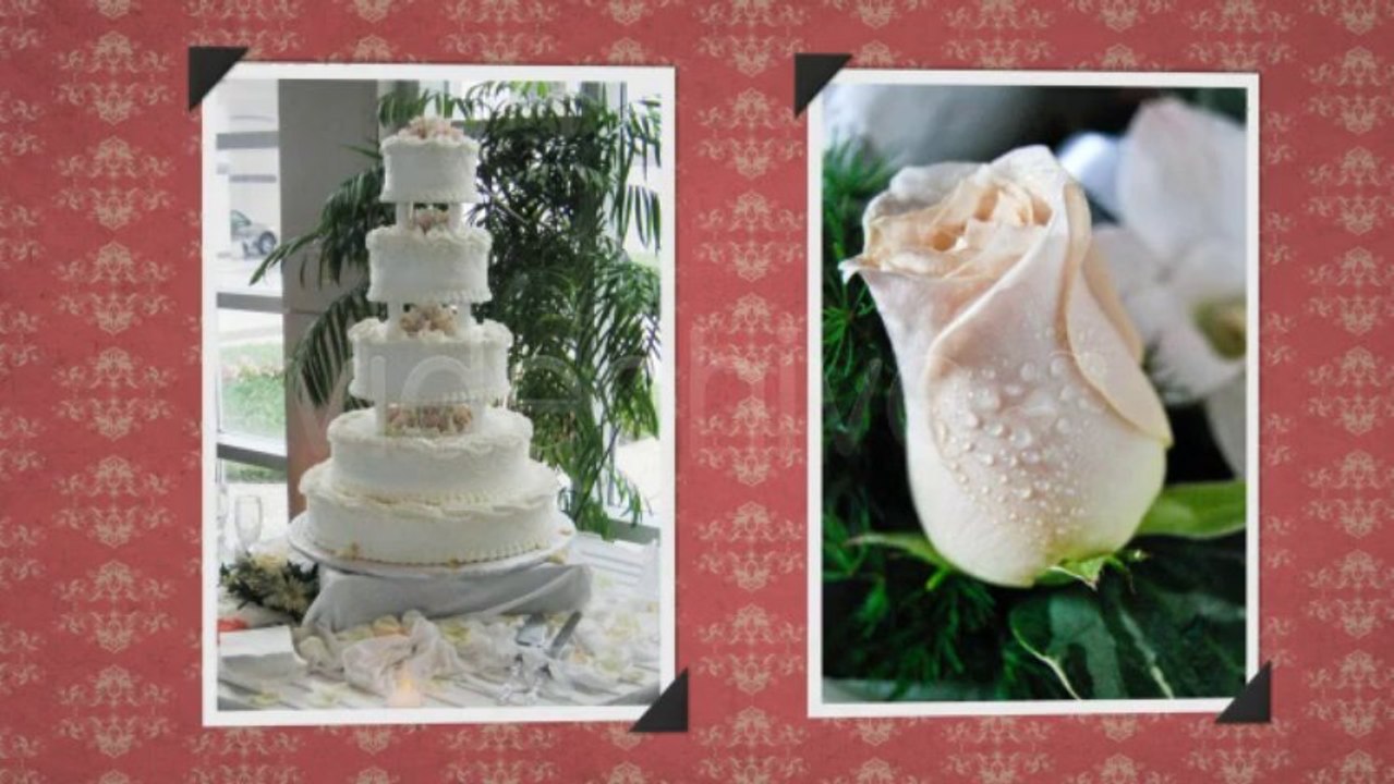 Elegant Wedding Album - After Effects Template