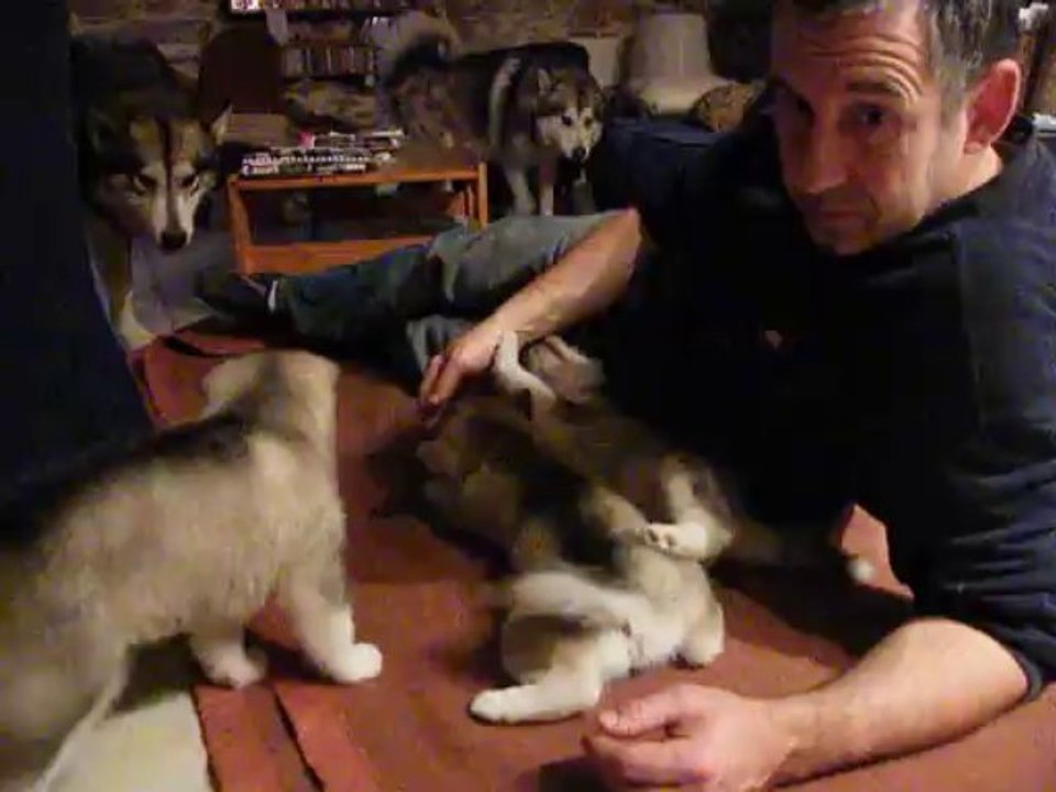 petit mala fait peur au gros ...