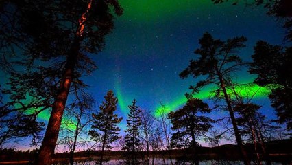 Night Scenes (PP720)