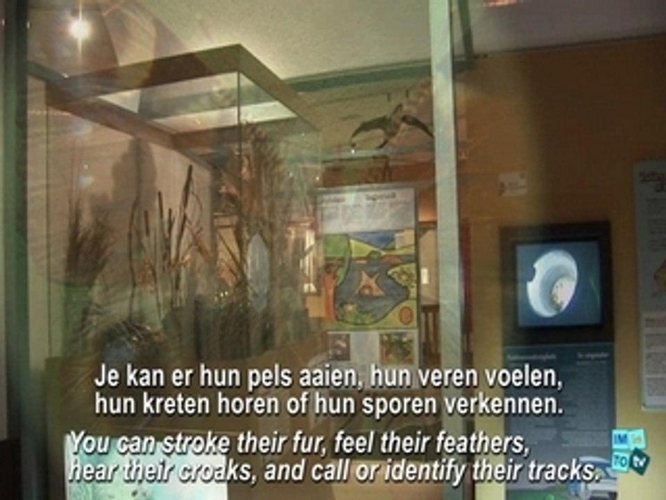 Bruxelles le Museum des Sciences