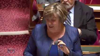 QAG de Françoise Cartron du 23 janvier 2014 sur l'éducation prioritaire