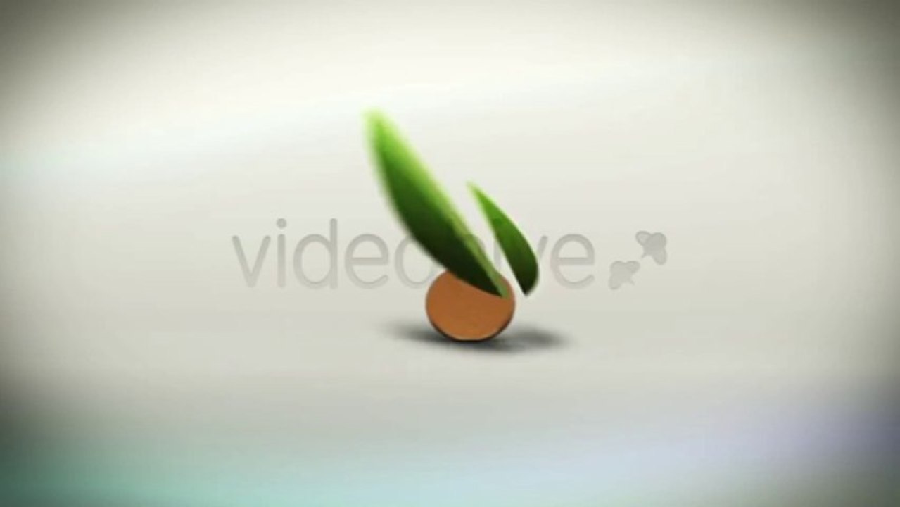 Coin Rolling Reveal - After Effects Template