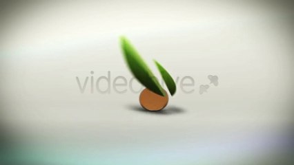 Coin Rolling Reveal - After Effects Template