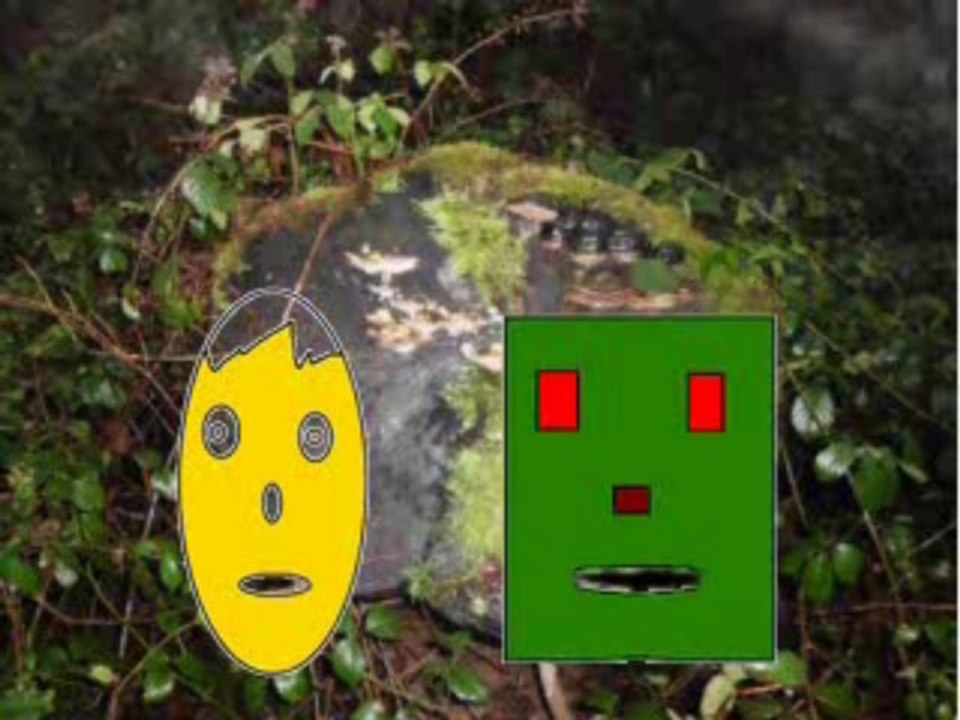 Mein Beitrag zur Petition gegen Markus Lanz