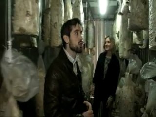 Extrait Les Pieds sur Terre "La Boîte à champignons"