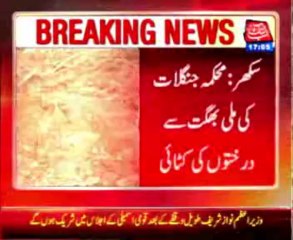 Sukkur Forest Tree cutting