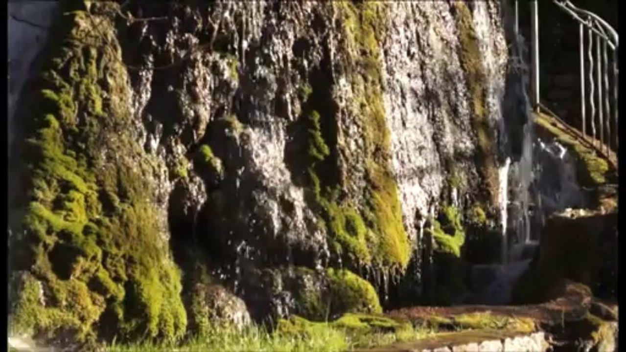 "Pour Noël, huile nouvelle Le moulin à huile de Tourtour