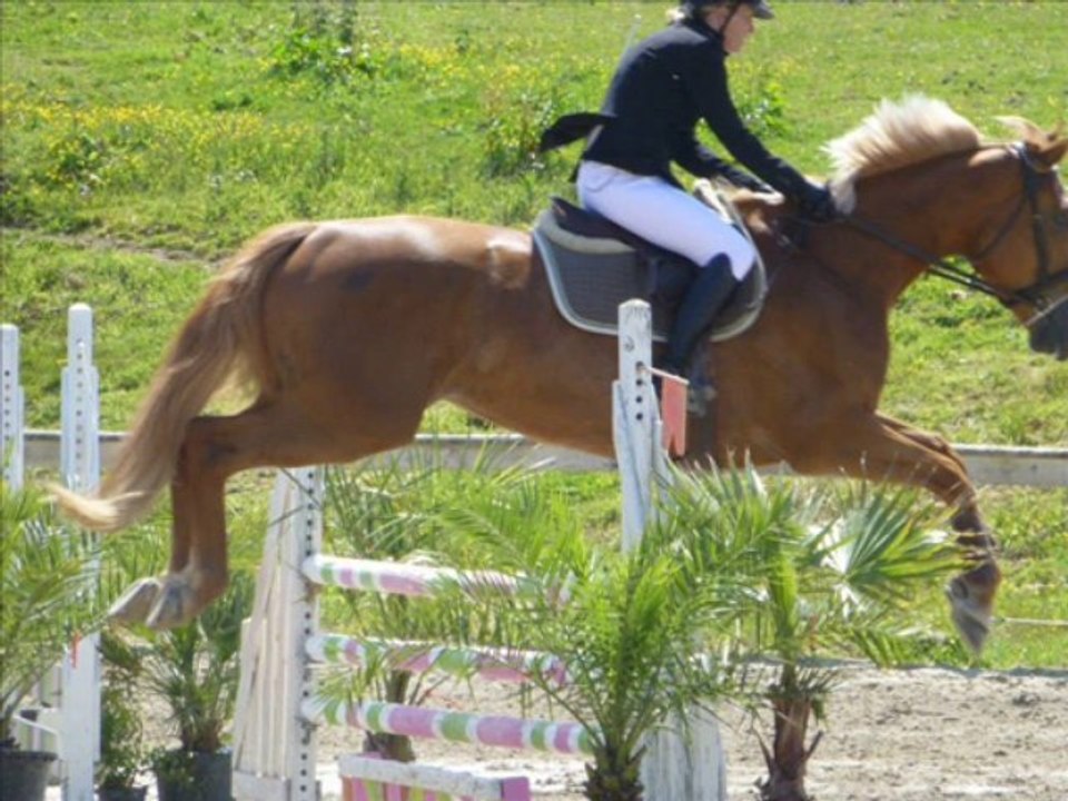 Saison 2012-2013 centre équestre Le Trèfle