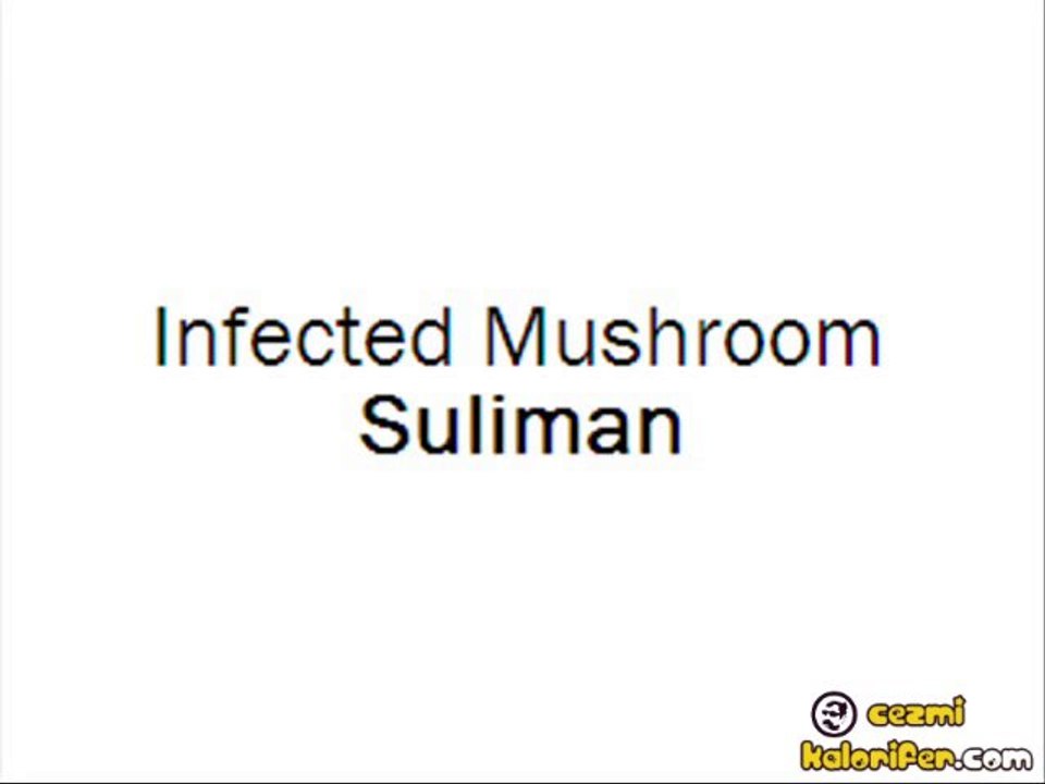 Infected Mushroom - Suliman