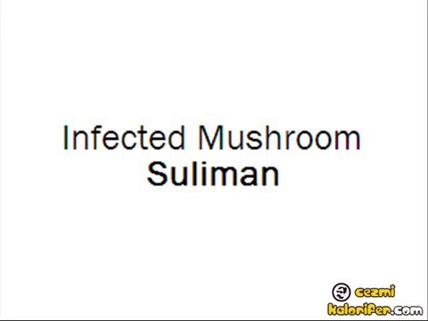 Infected Mushroom - Suliman
