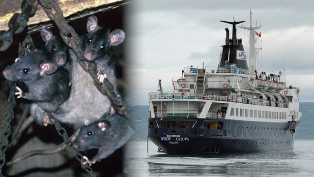 Cannibal Rat Infested Ghost Ship Headed for Britain