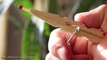 How to Make a Fiery Pocket Pistol Out of a Clothespin