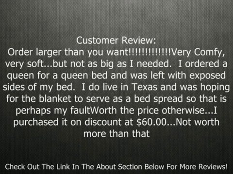 Pinzon Signature Zero-Twist Egyptian Cotton King Blanket, Cream Review