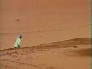 Fuunnnyyyy / Stuuuppiiidddd ..loll..