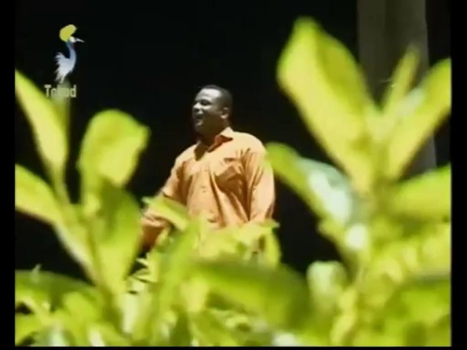 MUSIQUE DU TCHAD  DU 25 JANVIER 2014  SUR TOL