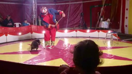 Neuves maisons le cirque